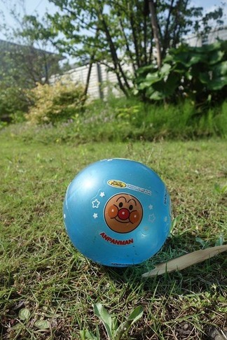 ����ѥ�ޥ�