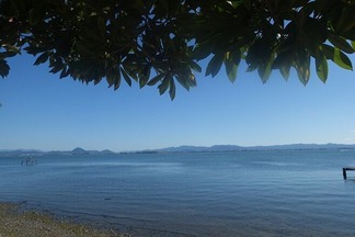 ÈüÇʸÐ