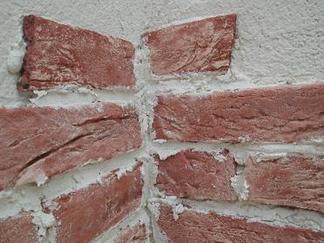 ���Ž���¤��