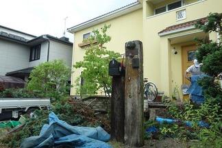 樹木剪定作業