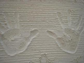 �����ͤμ��