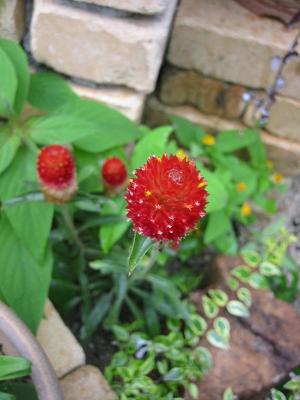 �Ф˹ȡ�����