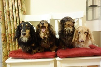 ���å����ե��