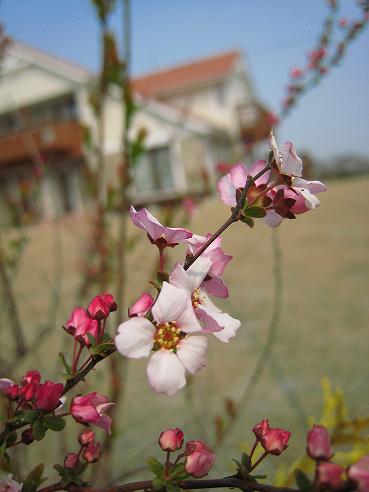 �Ȥ��֤Υ業��ʥ�