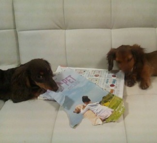 ¥Ü¥Ö¡õ¥¯¥é¥é