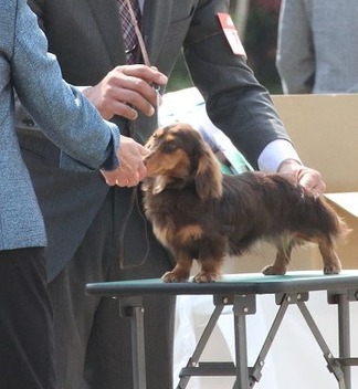 ¥é¥à¿¨¿³Ãæ