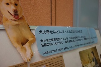 犬の幸せ