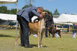 �ɥå����硼