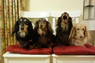 ���å����ե��