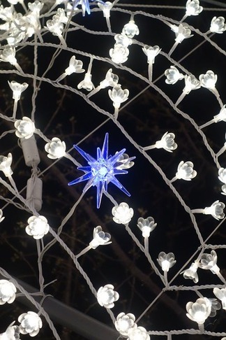 ����ߥ͡������