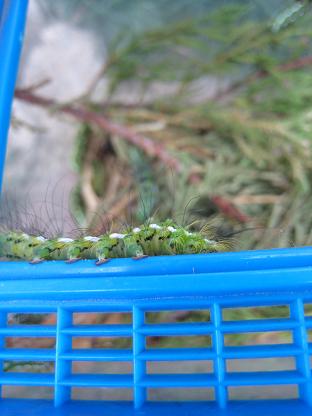 �������