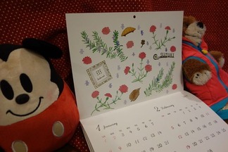 �ǥ�����������