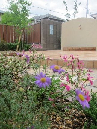 色とりどりの花々