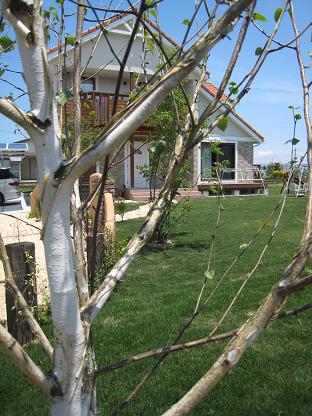 ���饫�Х��㥳���ƥ���