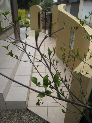 ��ޥܥ����ۤ��˸��륢�ץ�����