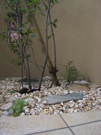 ���塼��٥꡼