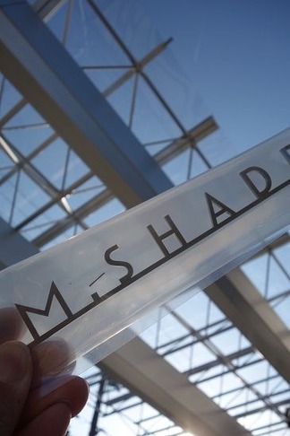 �ͥ�������