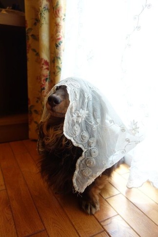 ���å����ե��