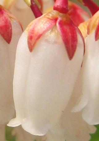 �֡�����