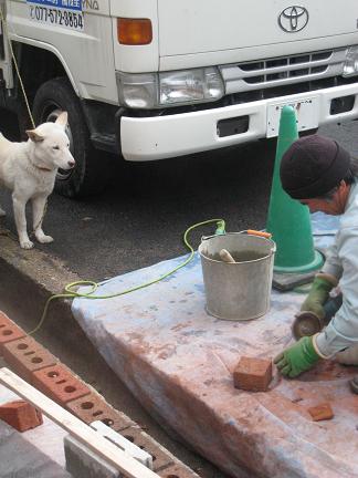 �����åդȸ�