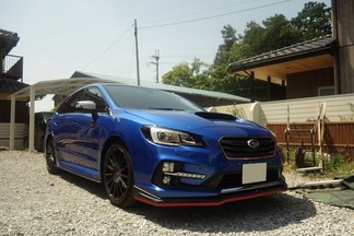 ����������ӣԣ�Sports