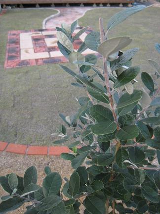 �ե������祢�ۤ���į�᤿��