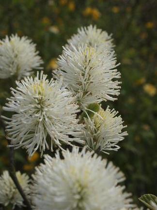 �ե��å�����