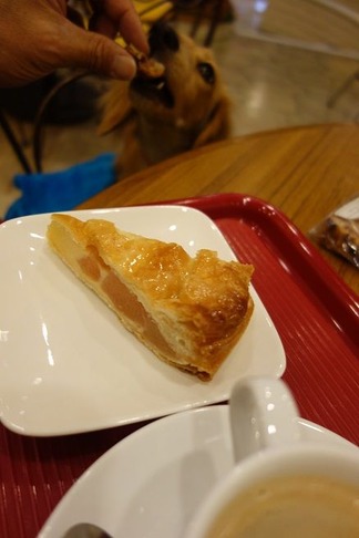 �ڥå�Ʊȼ�쥹�ȥ��