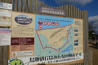 鳥取砂丘