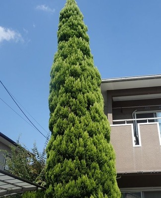 ������ɥ��쥹��