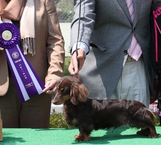 ¥Ü¥ÖµÇ°»£±Æ