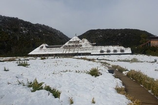 �饳�꡼�ʶṾȬȨ