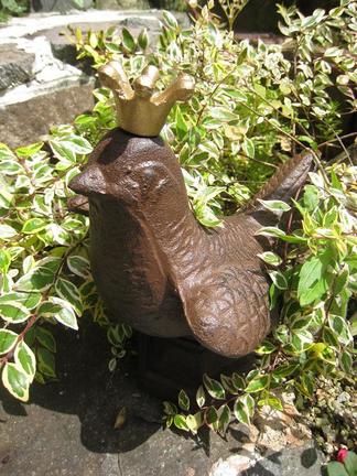 �С��ɥ�������