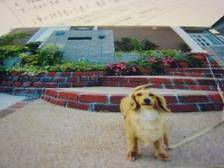 �����μ̿�