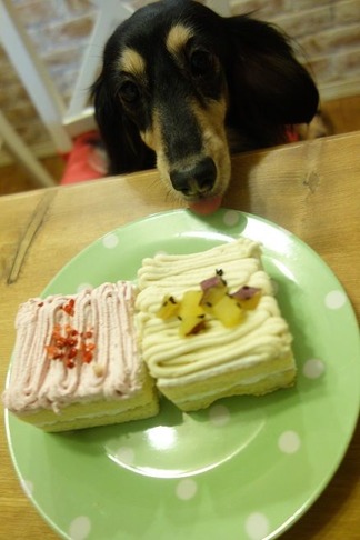 誕生日ケーキ