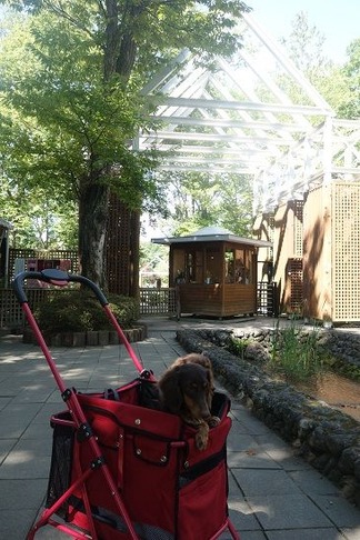 �ڰ������ꥢ����