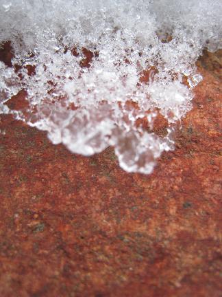 ���������Ѥ����