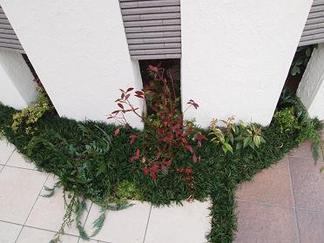 �������ο���