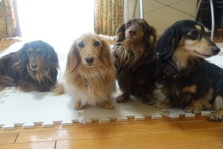 ���å����ե��