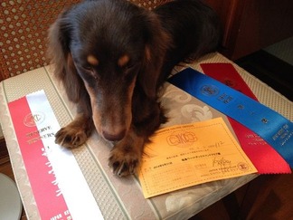 �ꥶ���֥����ʡ���