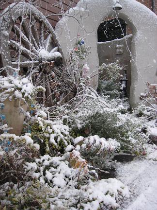 初雪
