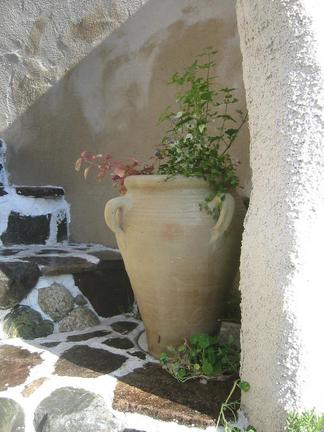 ����˥������ƥ饳�å��ݥå�