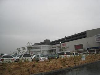 ������⡼������