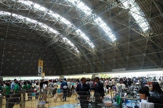 ショー会場