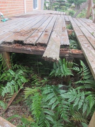 ���åɥǥå�