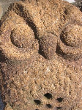 �դ���������