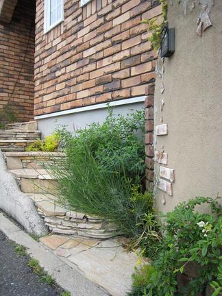 ���ʤ�į���