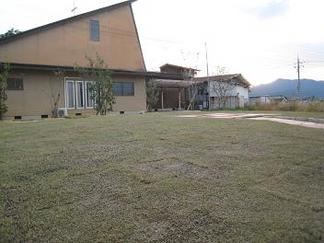 �ȤäƤ⹭�������Τ���