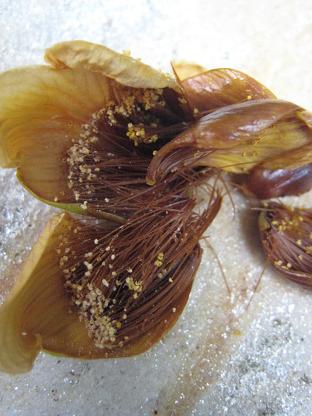 �֤ν��ᡦ����