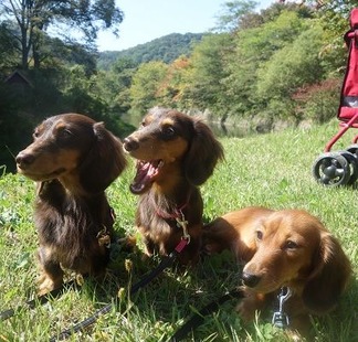 �Ҥʤ��ܤä�